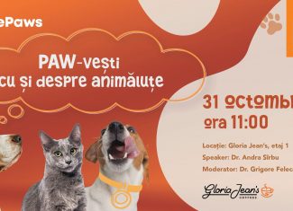 Iulius Mall Cluj eveniment copii