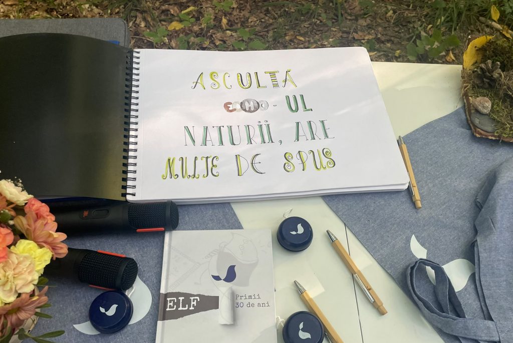 poteca elf traseul broscutelor padurea faget 