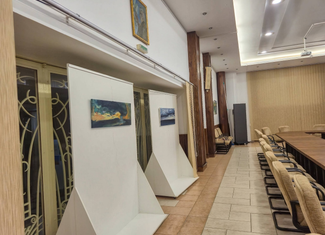 galeria paul sima ubb cluj