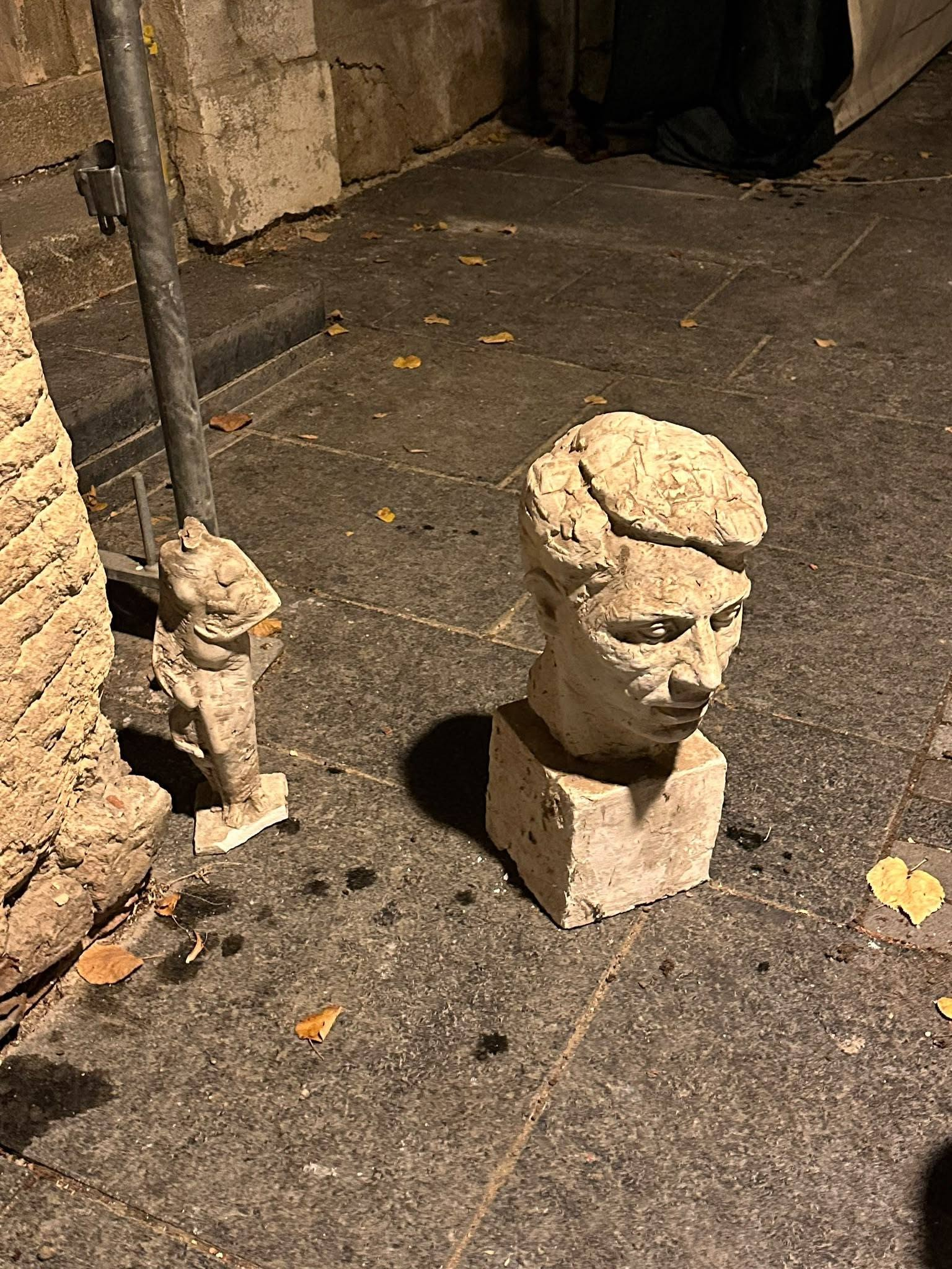 statui biblioteca judeteana cluj IJJ Cluj