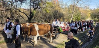 nunta traditionala parc etnografic cluj
