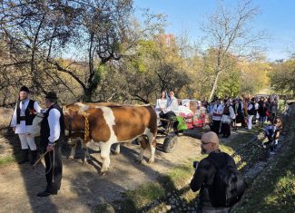 nunta traditionala parc etnografic cluj