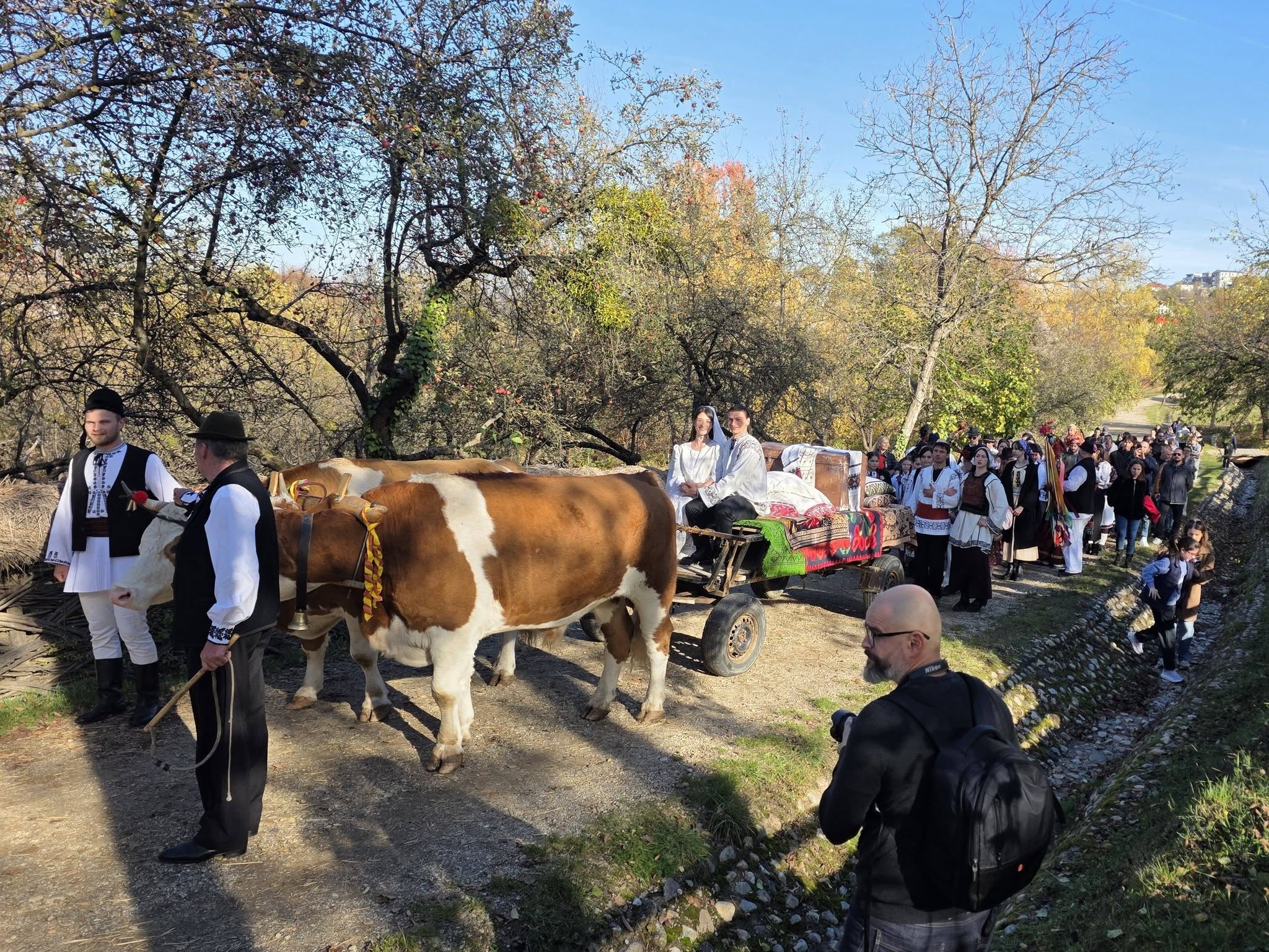 nunta traditionala parc etnografic cluj